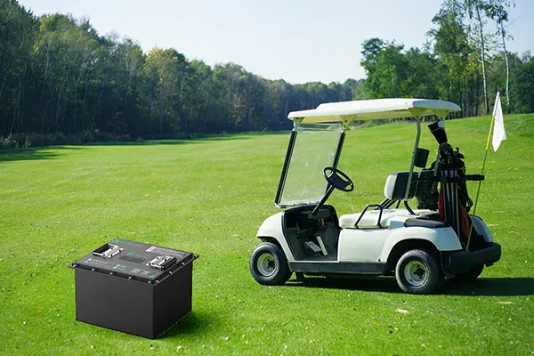 The Foundation of Electric Commercial Transportation The Foundation of Electric Commercial Transportation